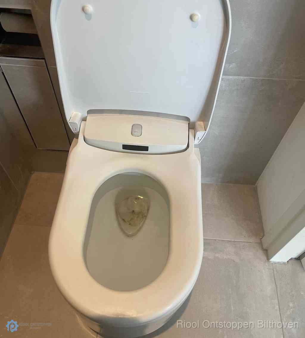 Toilet Ontstoppen Bilthoven